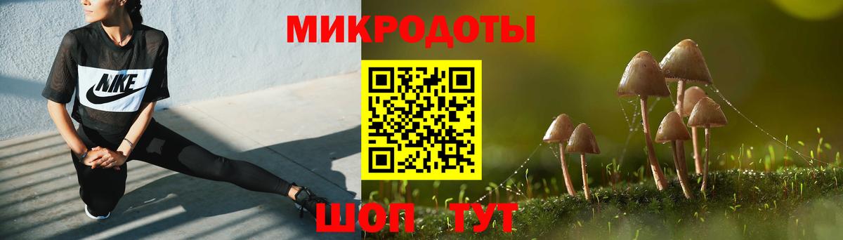 купить наркотик  Псилоцибиновые грибы Cubensis  Вход с VPN  Анапа  Псилоцибиновые грибы Cubensis 